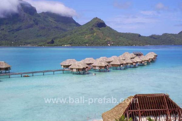 pro_tahiti05