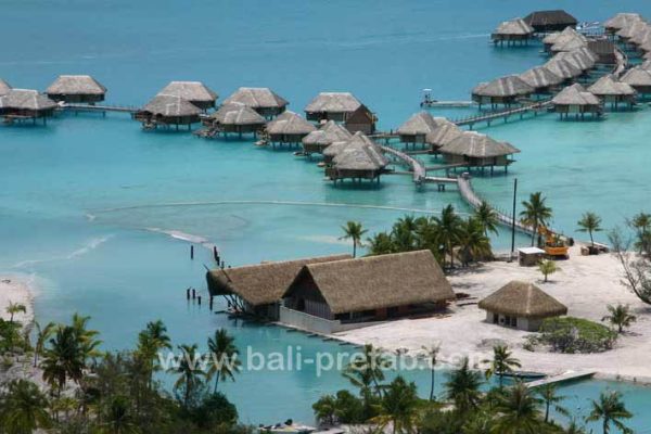 pro_tahiti06